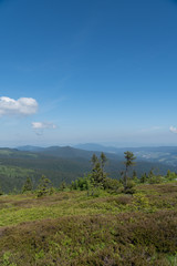 Bavarian Forest - Arber