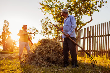 Family couple of farmers gather hay with pitchfork at sunset in countryside. Hard-working people...