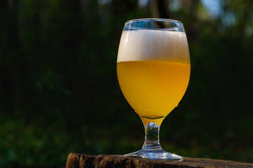 Two glass of cold beer on nature tree park background