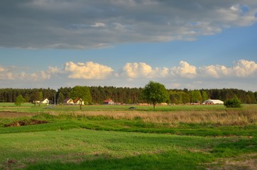 Obraz premium Rural spring landscape. Beautiful green meadow in the countryside.