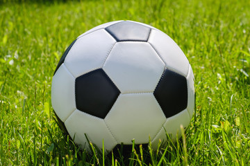 Fototapeta premium Soccer ball on green grass.