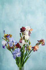 bunch of colorful irises