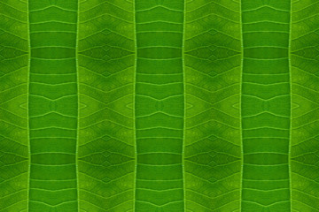 Seamless abstract texture: leaf veins, green background