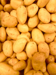 Several potatoes background