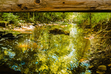 Creek running underneath a bridge in Blue Spruce Park