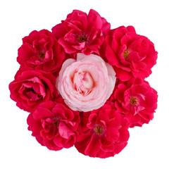 Bouquet of one pink and many red roses isolated on white. Top view.