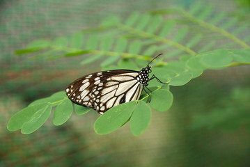 Travel Nature Vacantion Holiday Tourist