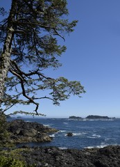 Fototapeta na wymiar view from Amphitrite Point towards the Barkley Sound and the archipelago of the Broken Group Islands, Ucluelet Vancouver Island British Columbia Canada