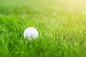 Close-up of white golf ball in green grass meadow. Details of play field.  Resort with sport outdoor activities concept