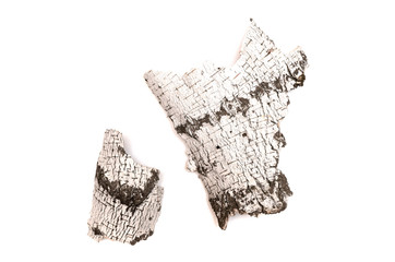 Birch bark isolated on white background. Natural decoration elements.