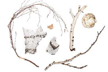 Birch branches, bark and sticks with shelf fungus(chaga) isolated on white background. Birch parts...