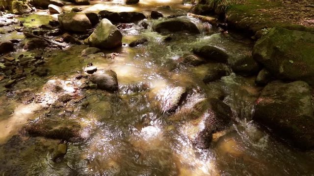 Small creek in deciduous forest in high mountains; steadicam footage, no people, slow motion