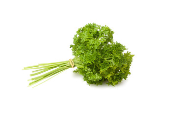 Fresh green parsley for salad isolated on the white