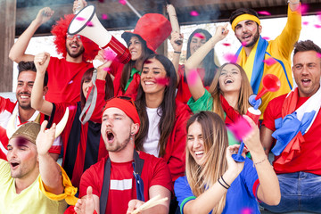 group of fans dressed in various colors watching a sports event