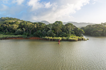 Naklejka premium Jungle of the Panama Canal.