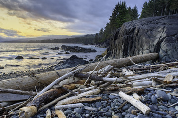 Fototapeta na wymiar Beach scene with driftwood