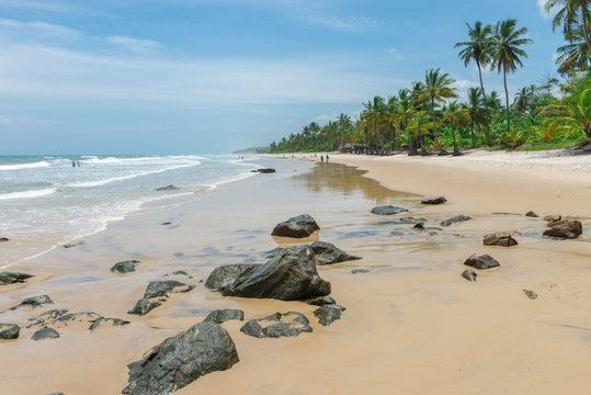 Amazing green nature at the Itacarezinho beach