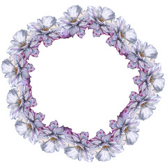 wreath of roses. Isolated on white background. 