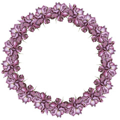 wreath of roses. Isolated on white background. 
