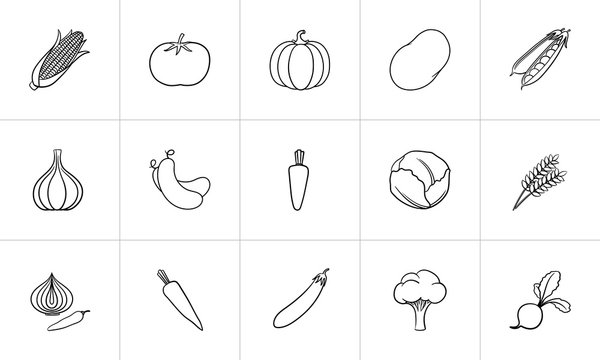 Agriculture food sketch icon set for web, mobile and infographics. Hand drawn healthy food vector icon set isolated on white background.