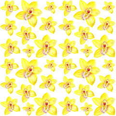 Flowers of yellow orchids, pattern for printing. Watercolor illustration.
Pattern with orchid flowers. Pattern for printing, for fabric, clothing, packaging.