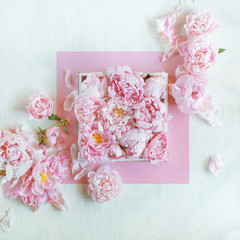 Beautiful pink, rose peonies decorated on white wood table, can be used as background