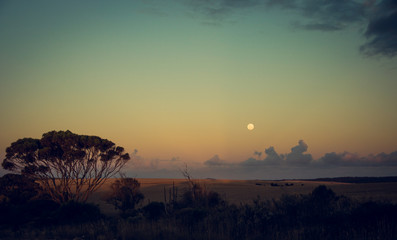 Obraz premium Moonrise