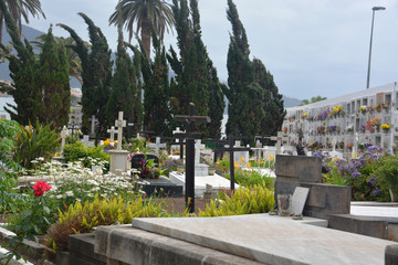 cementerio en Puerto de La Cruz, Tenerife