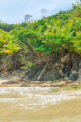 Summer holiday daylight beach scene tropical paradise