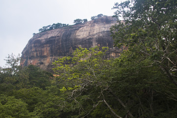 Fototapeta na wymiar Lion's rock in Sigiriya, Sri Lanka.