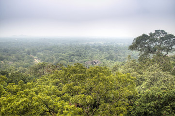 Obraz premium View over the jungle in Sigiriya, Sri Lanka.