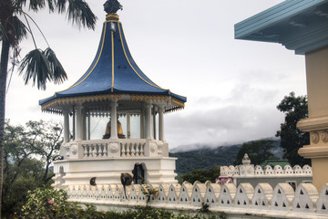 Obraz premium Golden Buddha temple in Dambulla, Sri Lanka.