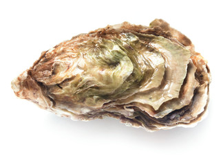 single fresh oyster isolated on white background