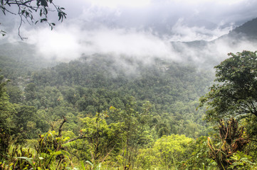 Amazing landscapes in Kandy, Sri Lanka.