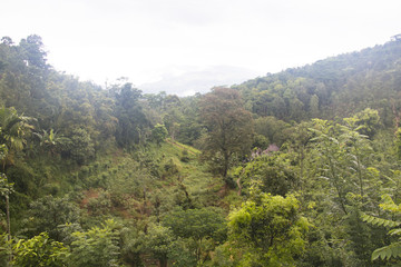 Amazing landscapes in Kandy, Sri Lanka.