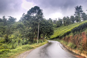 Amazing landscapes in Kandy, Sri Lanka.