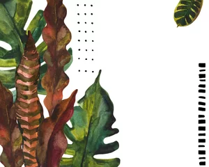 Papier Peint photo Impressions graphiques Fond de feuilles exotiques aquarelle. Peinture florale tropicale de couleur de l& 39 eau.