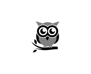 Owl logo