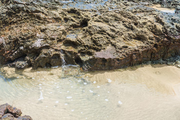 Texture beach sandy surface with ripples formed
