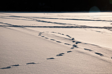 Footsteps tracks on the snow at the frozen lake.