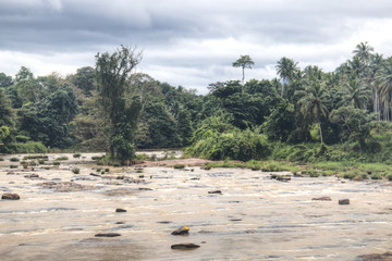 Fototapeta na wymiar River landscape in Pinnawala, Sri Lanka.