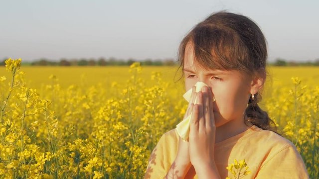 Allergy. The child sneezes from the pollen. A little girl sneezes in a flourishing field.