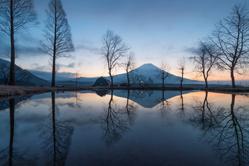 Mountain Fuji in the morning at Fumotopara camping ground, Fujinomiya , Shizuoka prefecture