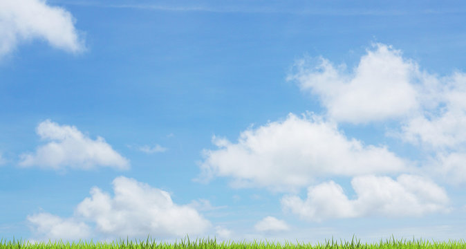 blue sky green grass 3d rendering background