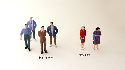 Yes and No check boxes with red check mark in the Yes box. The concept of gender...
