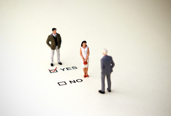 YES and NO check boxes with red check mark in the YES box....