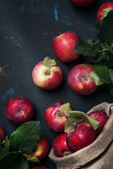 Red apples, autumn harvest, food background, top view