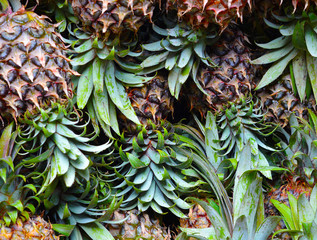 Obraz premium Pineapple background, fresh fruit