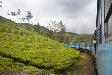 Train ride from Kandy to Ella in Sri Lanka.