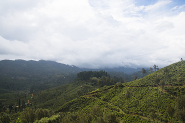 Landscape in the highlands of Sri Lanka.